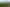 251 Collins Road, Glenview