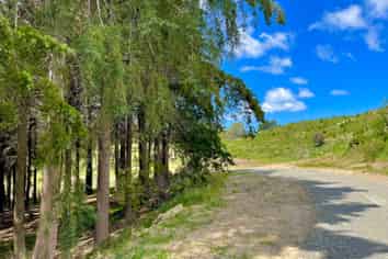 Lot 3 Gaudion Road, Peebles, OAMARU