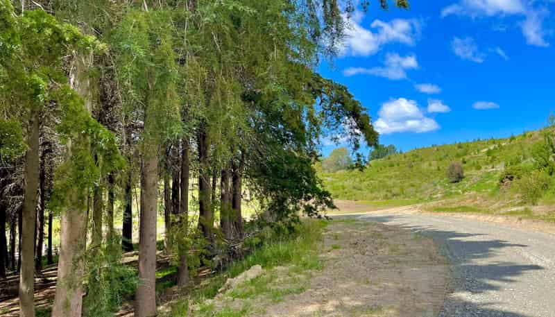 Lot 3 Gaudion Road, Peebles, OAMARU