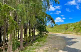 Lot 3 Gaudion Road, Peebles, OAMARU