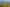 1872 East Coast Road, Whakatiwai