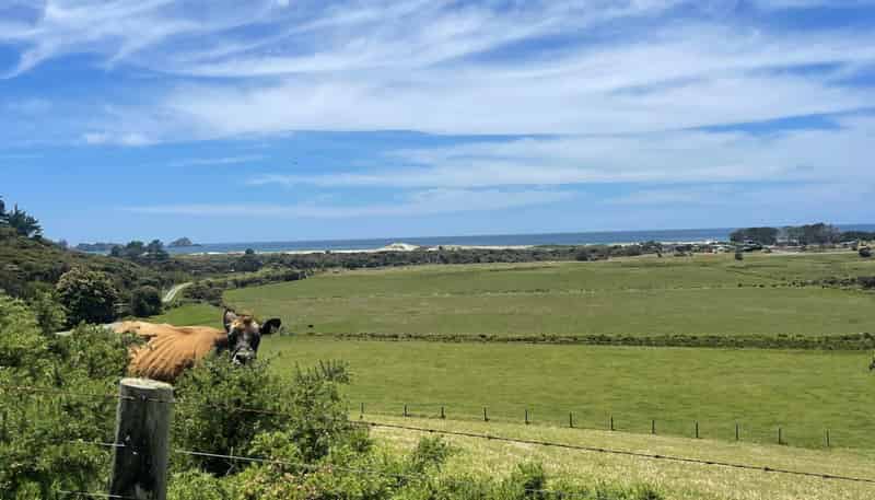 Lot 32 Kaitoke Lane, Great Barrier Island