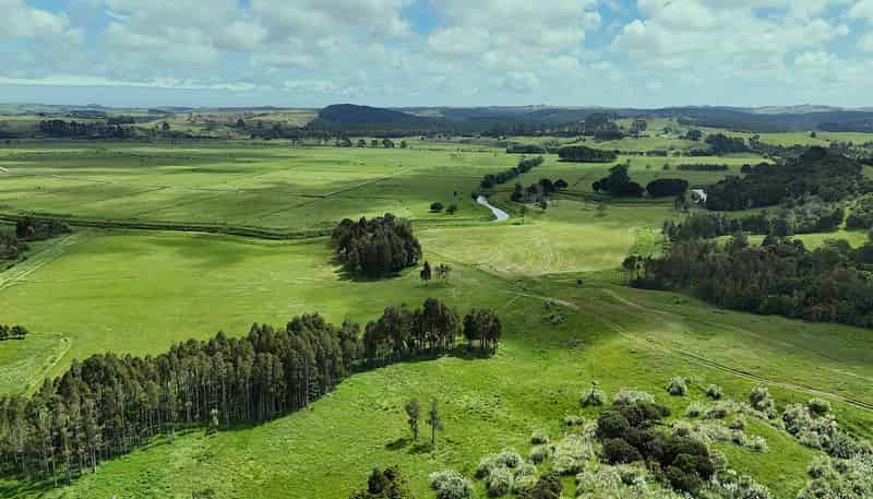 497 Opanake Road, Dargaville