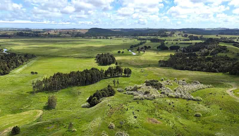 497 Opanake Road, Dargaville