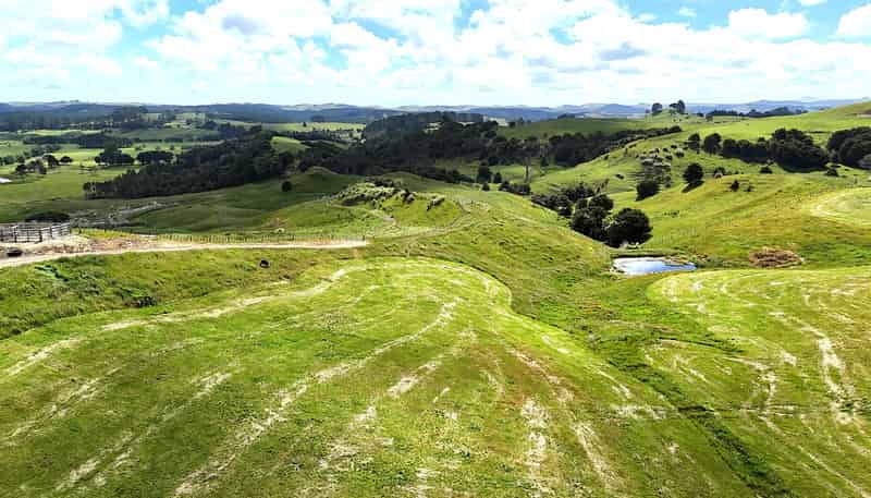 497 Opanake Road, Dargaville