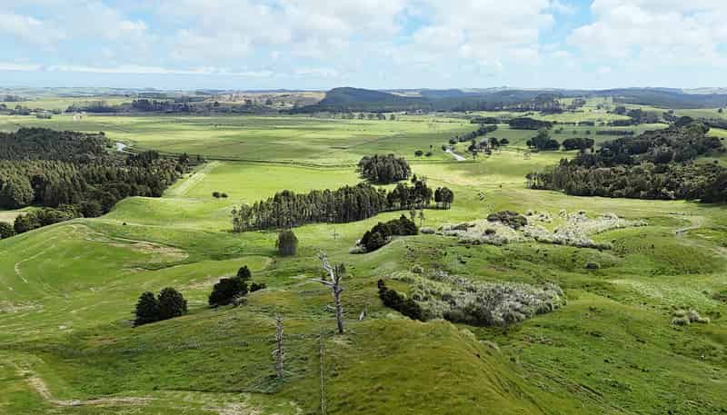 497 Opanake Road, Dargaville