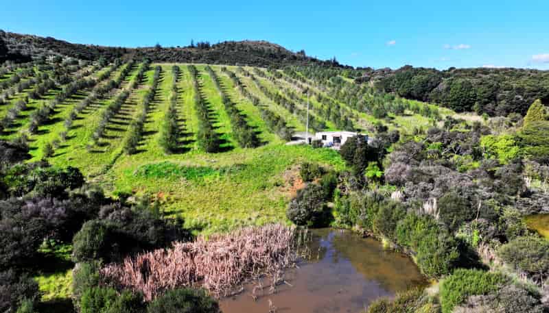 105 Frantoio Ridge Road, Mangonui