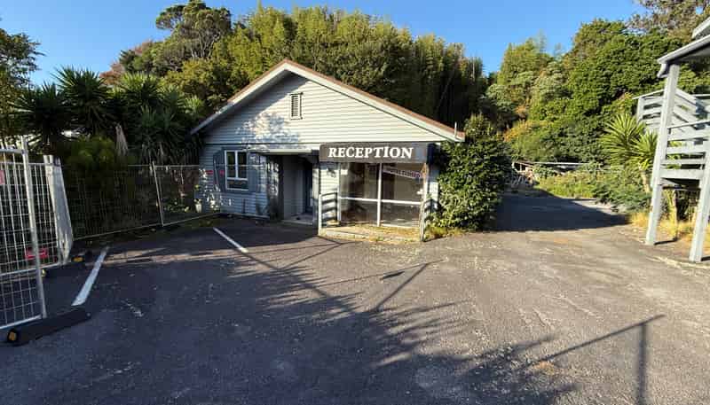 61-63 Carrington Street, Lower Vogeltown