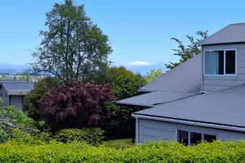 67 Birch Street, Hilltop