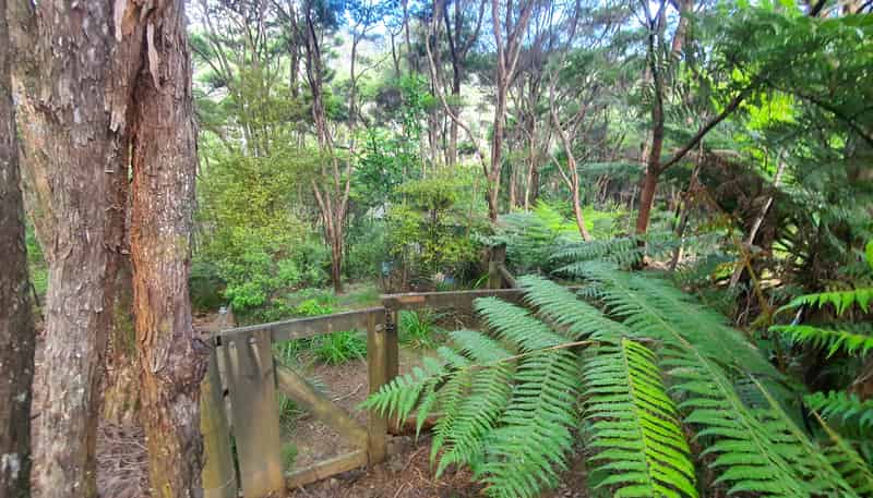 34 Schoolhouse Bay Road, Kawau Island