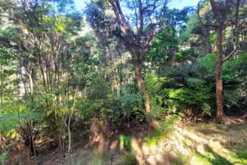 34 Schoolhouse Bay Road, Kawau Island