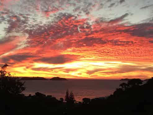 52 Woods Road South, Coromandel