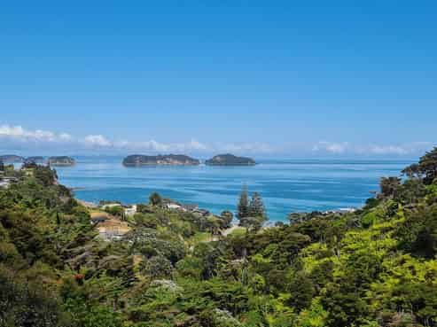 52 Woods Road South, Coromandel