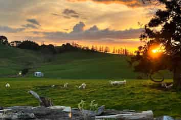 Auckland - Address withheld