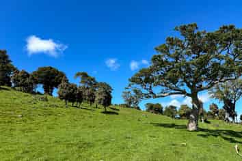 4 Caird Road, Otapiri Gorge