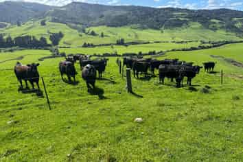 4 Caird Road, Otapiri Gorge