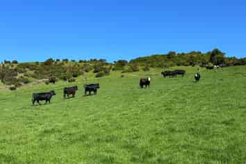 4 Caird Road, Otapiri Gorge