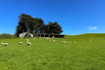 4 Caird Road, Otapiri Gorge