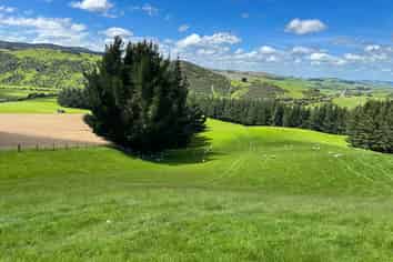 4 Caird Road, Otapiri Gorge