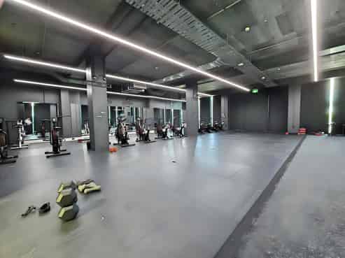 Premium Office/Showroom in Eden Terrace