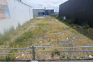 431 Colombo Street, Sydenham, Christchurch City, Canterbury
