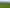 1745B Longbush Road, Gladstone