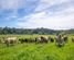 1148 Neudorf Road, Dovedale, Tasman, Nelson & Bays