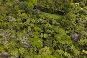 18 & 20 Te Toroa Drive, Lake Tarawera