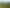 960A Oneriri Road, Kaiwaka