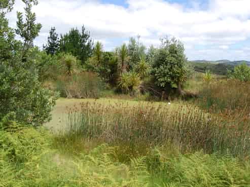 960A Oneriri Road, Kaiwaka