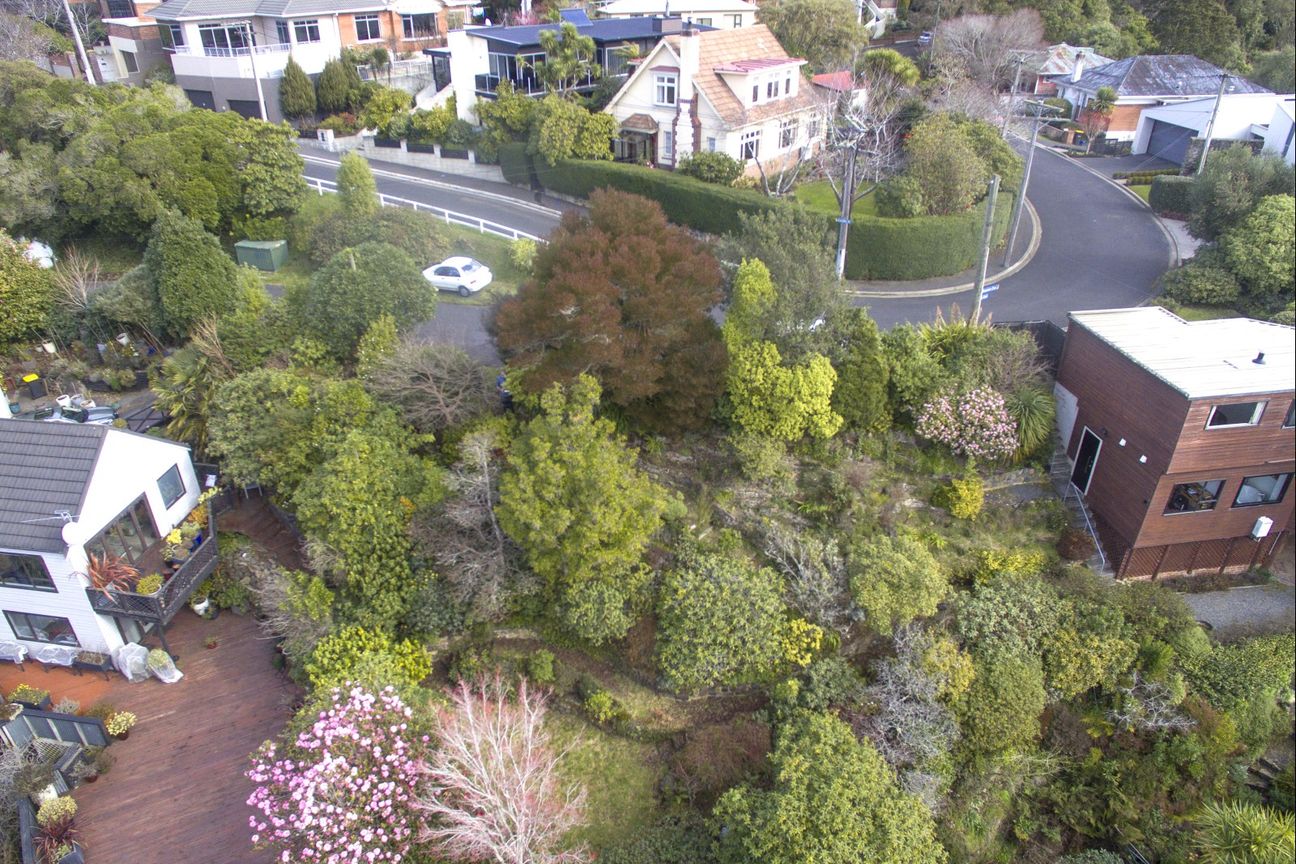 Captivating Māori Hill section with stunning views - Widok 3
