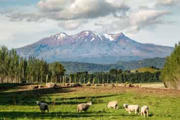 329 Raetihi Ohakune Road Lot 2, Ohakune
