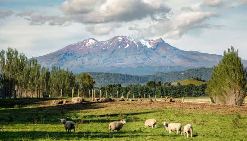 329 Raetihi Ohakune Road Lot 2, Ohakune