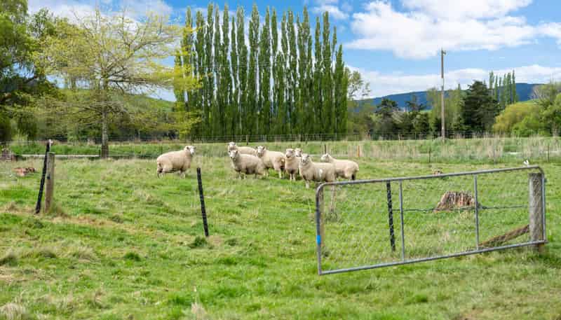 1 Pallion Street, Lawrence