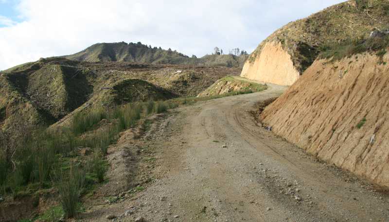 0n Makakaho Road, Ngamatapouri