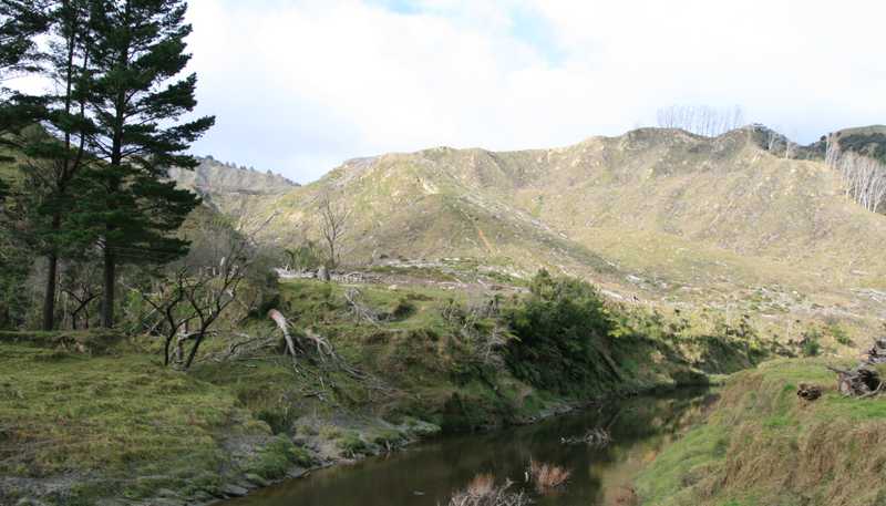 0n Makakaho Road, Ngamatapouri