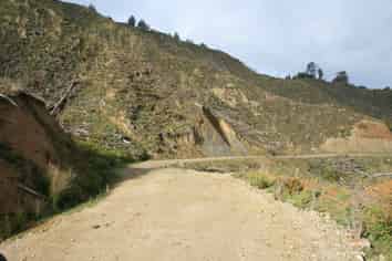 0n Makakaho Road, Ngamatapouri
