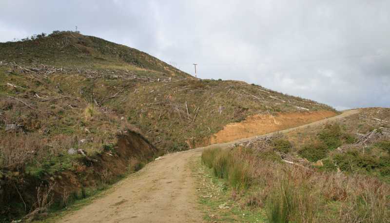0n Makakaho Road, Ngamatapouri