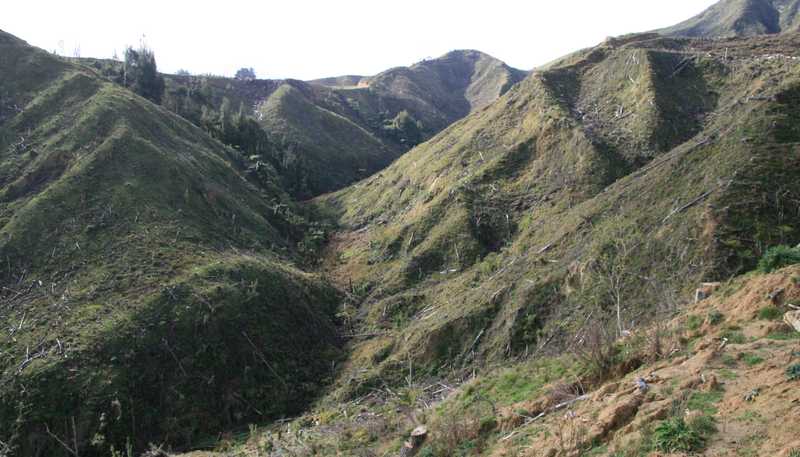 0n Makakaho Road, Ngamatapouri