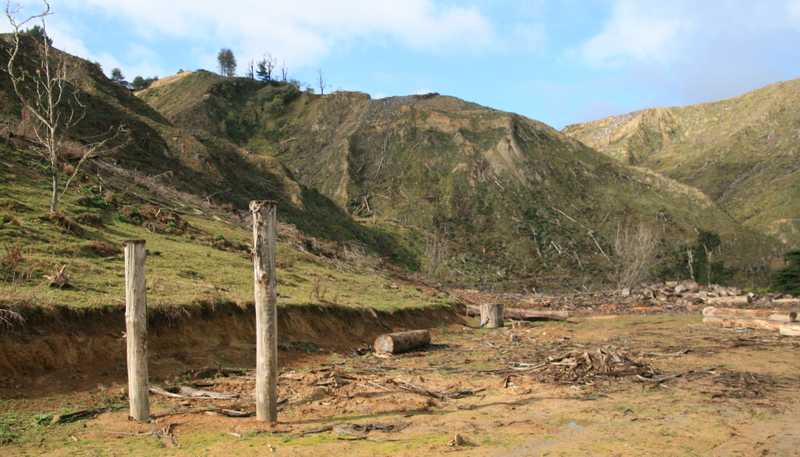 0n Makakaho Road, Ngamatapouri