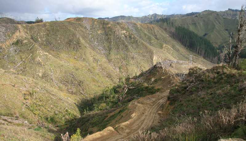 0n Makakaho Road, Ngamatapouri