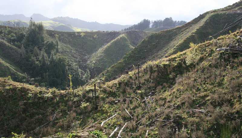 0n Makakaho Road, Ngamatapouri