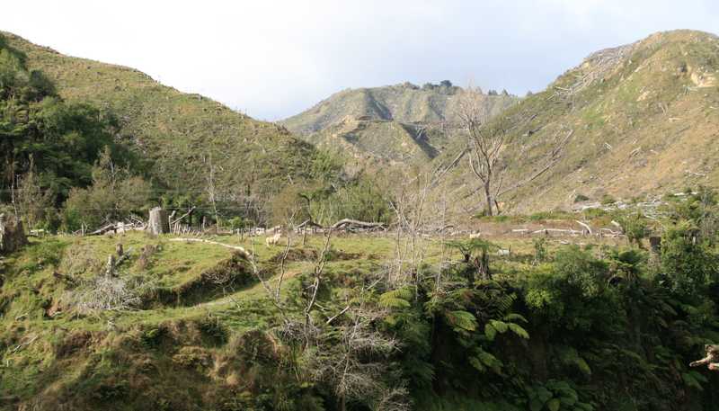 0n Makakaho Road, Ngamatapouri