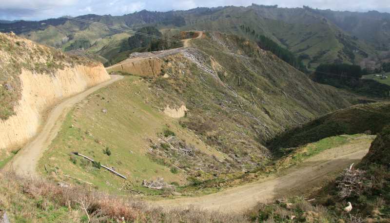 0n Makakaho Road, Ngamatapouri
