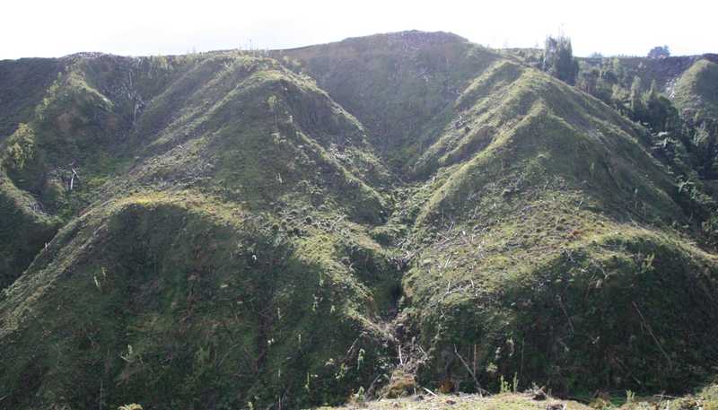 0n Makakaho Road, Ngamatapouri