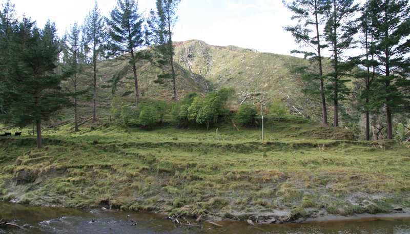 0n Makakaho Road, Ngamatapouri