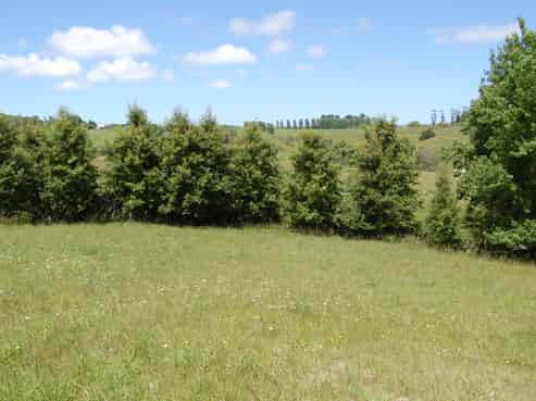 Lot 1 & 2 Phillips Road, Kaiwaka