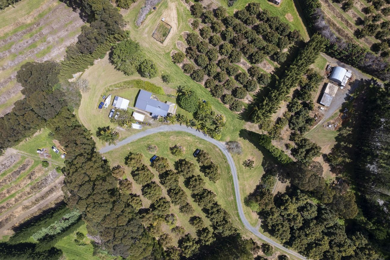 Versatile Orchard & Exceptional Lifestyle Property - Vaade 3