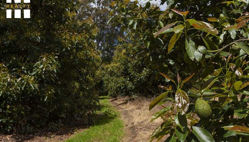 501 Paparore Road, Pukenui