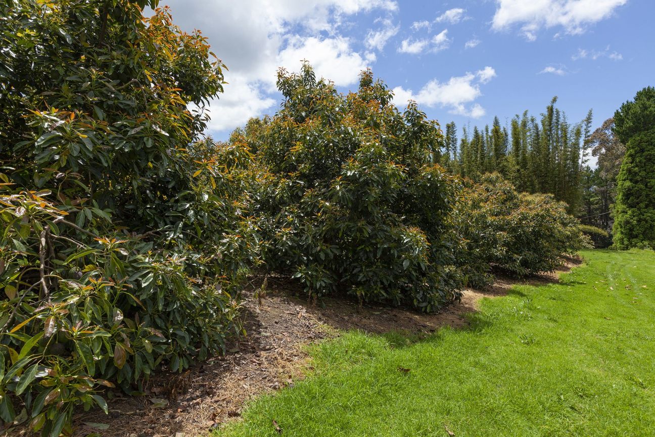 Versatile Orchard & Exceptional Lifestyle Property - Vaade 4